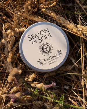 A round tin of Season of Soul Wild Balm placed on a bed of dried wheat stalks and thistles. The tin has a white label with a blue rim and black text.
